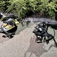 e754f170-0ff7-4de1-af47-cc87636b5fe6.jpg